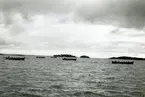 Roddtävling på Hårsfjärden aug. 1958. Båtar från Kustflottans fartyg.