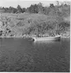 Dykningar vid de försänkta skeppen Två lejon och Neptunus i Myttingeviken i maj 1965, Värmdö