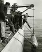 Torpeden hissas ombord.