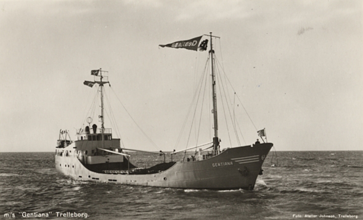 M/S "Gentiana" Trelleborg.
