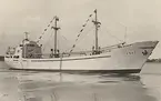 Lastmotorfartyget FREY av Stoxkholm 1955.