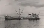 Lastmotorfartyget SIGBRITT av Gävle 1940.