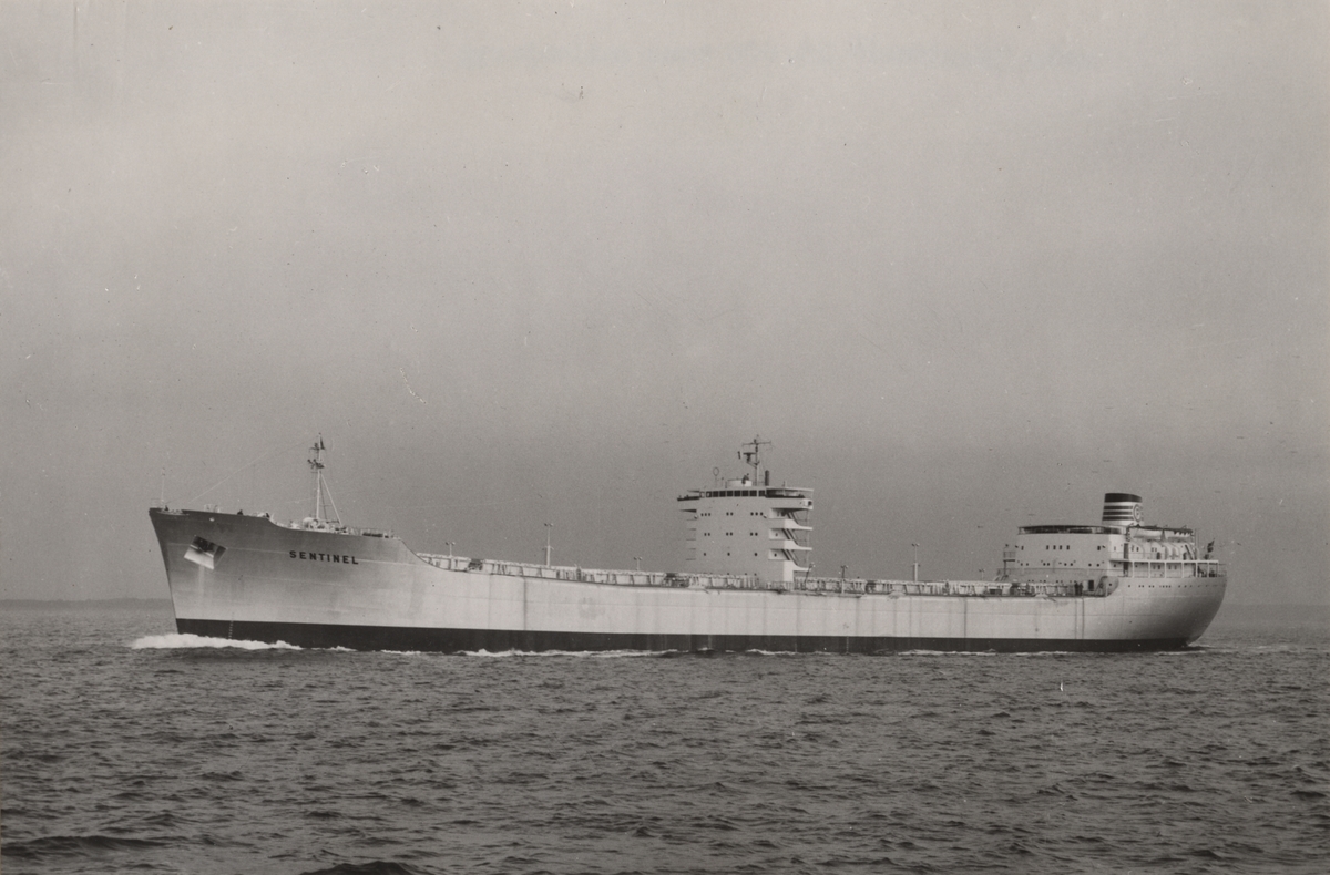 Malmlastmotorfartyget SENTINEL av Panama 1955.