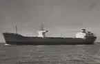 Lastmotorfartyget BISKOPSÖ av Stockholm under provresan i Öresund 14 sept. 1956.