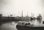 Lastmotorfartyget EDITHA av Eckernförde liggande i Norrtälje på 1960-talet.