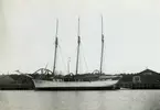 3-M-SKONARE, 1910-TALET.

I Åhus hamn 1919.