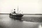 Lastångfartyget MARGIT av Köpenhamn lastar pappersved i Kaunissaari (Finland) den 21.6.1925.