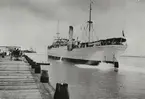 Lastångartyget TEXAS av Göteborg. Ankomsten till Galveston med 300 amerikanska flyktingar från Veracruz och Tampico år 1915.