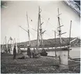 Hamnbild från Lysekil i slutet av 1890-talet. En okänd bark överhalas i hamnen.