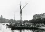 Slupen Sofia av Länna. Hon var den sista roslagsskutan i Sthlms skärgård. Foto 14 juli 1939.