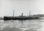 Lastångfartyget ARIEL 1910 vid kolkajen i Hudiksvalls hamn.