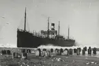 Lastångfartyget TOM av Stockholm, år 1934. Fartyget strandade under storm vid Hanstholm på Jyllands västkust. Manskapet blev räddat under dramatiska omständigheter. Bärgades i april 1934 av Switzer.