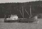 Okänd mindre kustlastbåt (troligen TUNA) under gång.