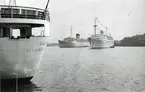 Foto från 1959 visande turist- & passagerarfartygen 