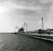 Luleå hamn, 1970.