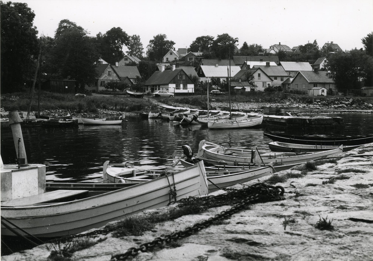 Baskemölla.