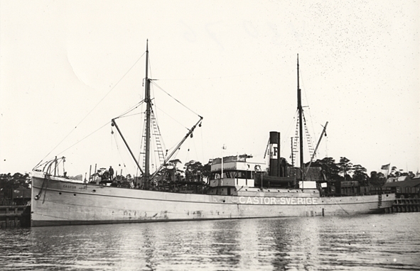 Lastångfartyget "CASTOR" av Sölvesborg, i Åhus hamn den 16 maj 1919.