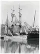Två foton av 3-mast barken Vanja av Hälsingborg liggande i Dovers hamn omkr. 1914