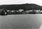 Ångermanland, Trysunda. Sjöbodar i hamnen. Ingen av dessa tillhör nu aktiva fiskare.