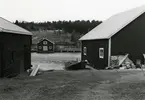 Ångermanland, Trysunda. Fiskaren Ingmar Vedins sjöbod och båt. Båten är byggd av grannen, fiskaren Ola Lundgren.