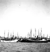 Segelfartyg och bogserbåtar liggande utanför Fiskehamnspiren, Göteborg 1940. Fil lic Gunnar Jonssons undersökningsresa till Västkusten juni 1940.