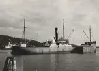 Lastångfartyget MAJFRID av Trelleborg i Lugnvik den 5.7.1951.