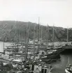 Vinterliggare i Skärhamn 1961-62.
Bildserie om 4 bilder.