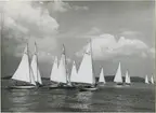 Segelbåtar under Saltsjöregattan 1944.