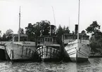 Furusunds slip

Foto i svartvitt visande Furusunds slip, Högmarsö, omkring 1963, med från vänster Sunnan (Ex Albrektsund, Östanå I och Waxholm III, samtliga ägda av Waxholms Nya Ångfartygs AB.