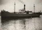 S/S RANJA, ex S/S ROAR, vid provturen i Stockholm 23.11.1929. Kapten Ivar Palm.