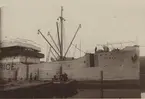 Lastångartyget TEXAS av Göteborg. I Galveston juli år 1913 [sic].