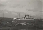 Lastångfartyget SIGRID MATTHIESSEN av Stockholm utanför holländska kusten 1931.