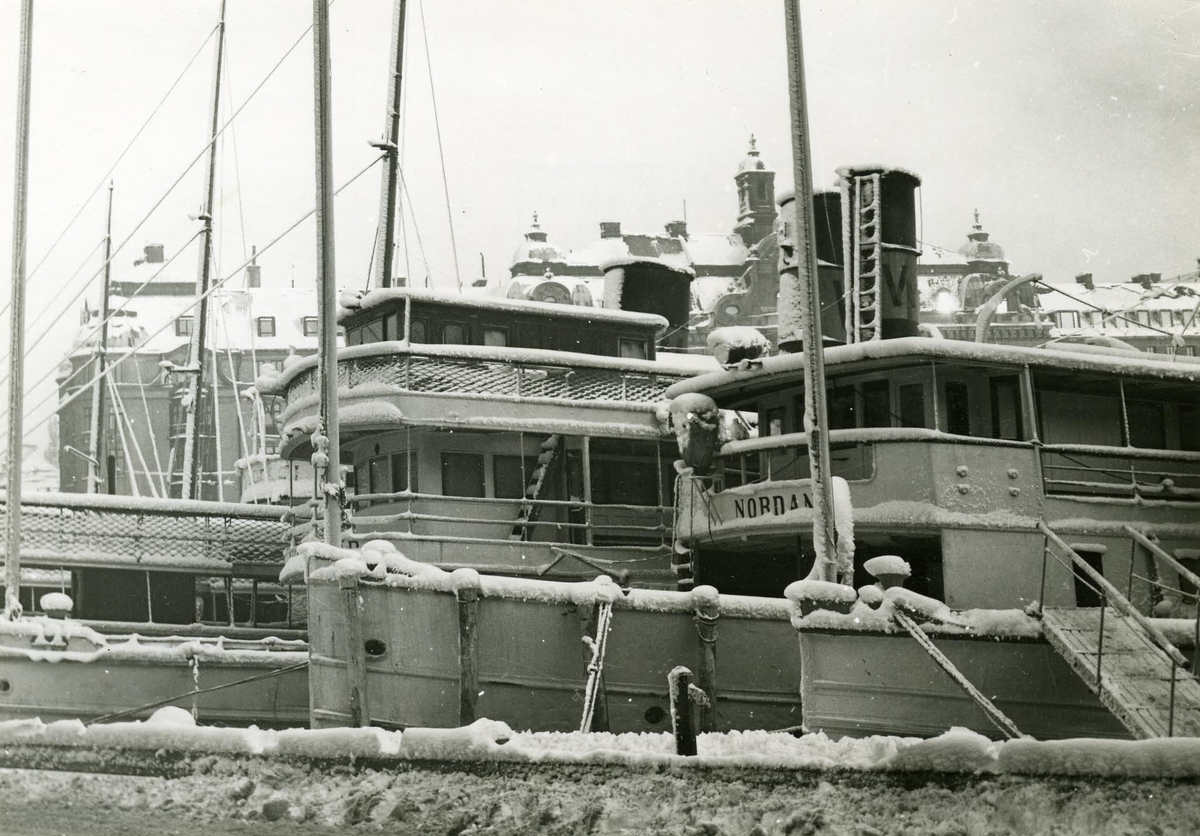 Stockholm, Nybroviken. Vinterupplagda Waxholmsbåtar.