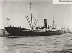 Lastångfartyget DELAGOA
av Stockholm. Foto febr. 1906.