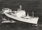 Nr. 75. M/S ARGONAUT.
Kylfartyg, byggt 1964 vid Eriksberg, för RAB Salénia.
Tonnage: br. 9.246, n. 4.388, dw. 8.000.