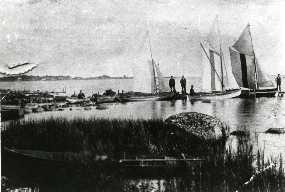 Lotshamnen på Falkvik, Sölvesborg, 1903.