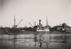 Lastångfartyget ELSA av Malmö i Åhus hamn, november 1921.
