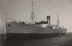 Lastångfartyget HELLENIC av Göteborg på ingående till Åhus, februari 1922.
