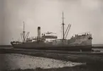 Lastångfartyget SILJAN av Göteborg i Åhus hamn, maj 1919.