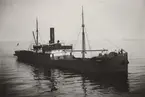 Lastångfartyget STINA av Göteborg i Åhus hamn, juni 1919.