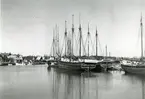 Råå. Hamnen år 1936.