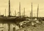 Torekov. Fiskebåtar i hamnen 1932.