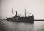 Lastångfartyget ARON av Stockholm i Åhus hamn den 23 nov. 1918.