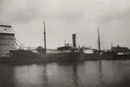 Lastångfartyget GALATEA av Bergen i Åhus hamn den 8 juli 1921.
