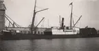 Lastångfartyget IRIS av Malmö i Åhus hamn den 11 mars 1920.