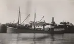 Lastångfartyget LUNDBY av Sjötorp i Åhus hamn juni 1919.