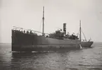 Lastångfartyget HESTIA av Bremen på ingående till Åhus den 10 maj 1919.