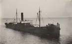 Lastångfartyget LYDIA av Helsingborg i Åhus hamn juni 1919.