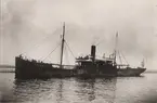 Lastångfartyget ORION av Helsingborg i Åhus hamn den 6 mars 1919.