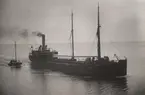Lastångfartyget SIRONA av Göteborg på ingående till Åhus, aug. 1919.